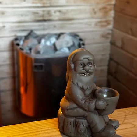 Holiday home Northern Lights With Sauna *