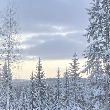 Holiday home Northern Lights With Sauna *