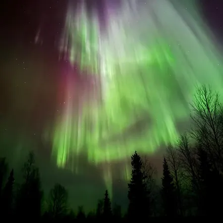 Northern Lights With Sauna Holiday home