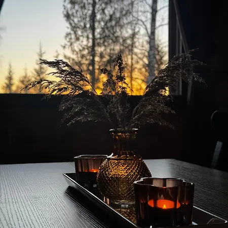 Holiday home Northern Lights With Sauna Muurola