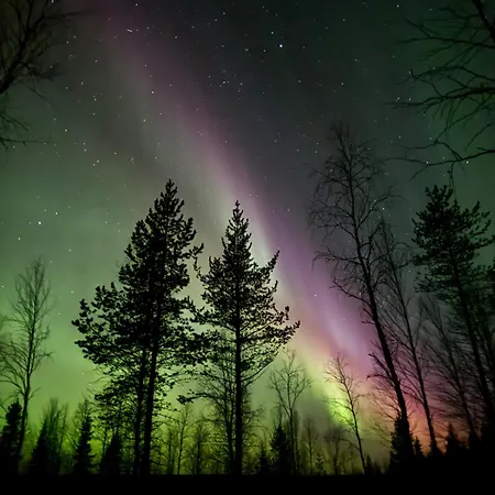 Northern Lights With Sauna