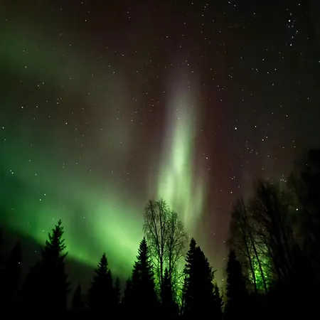 Northern Lights With Sauna *